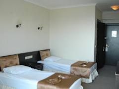 Zimmerbild 8