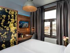 Zimmerbild 12