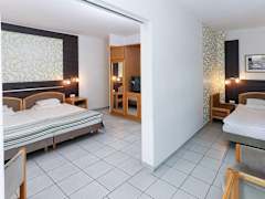 Zimmerbild 8