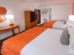 Zimmerbild 8