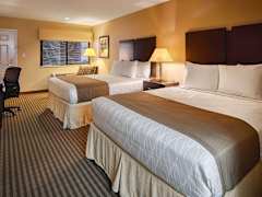 Zimmerbild 11
