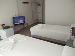 Zimmerbild 1