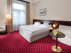 Zimmerbild 6