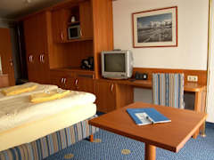 Zimmerbild 8