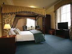 Zimmerbild 9