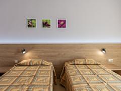 Zimmerbild 22