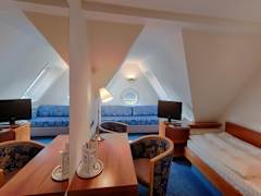 Zimmerbild 6