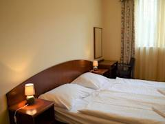 Zimmerbild 11