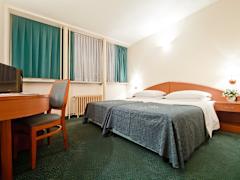 Zimmerbild 6