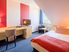 Zimmerbild 8