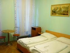 Zimmerbild 9