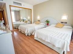 Zimmerbild 12