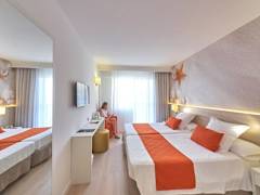 Zimmerbild 12