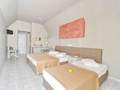 Zimmerbild 23