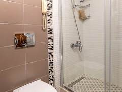 Zimmerbild 10