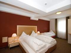 Zimmerbild 11