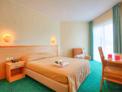 Zimmerbild 22