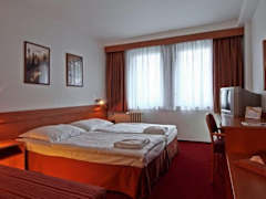 Zimmerbild 11
