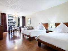 Zimmerbild 6