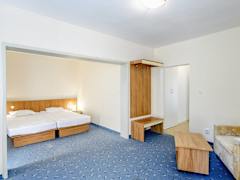 Zimmerbild 6