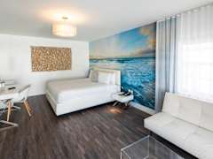 Zimmerbild 8