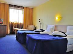 Zimmerbild 9