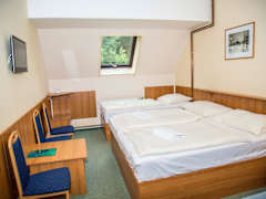 Zimmerbild 6