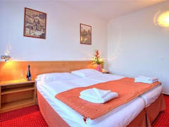Zimmerbild 0