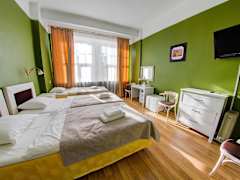 Zimmerbild 13