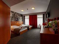 Zimmerbild 8