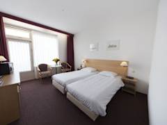Zimmerbild 8