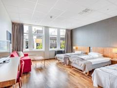 Zimmerbild 12