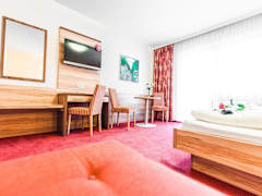 Zimmerbild 3