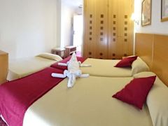 Zimmerbild 8
