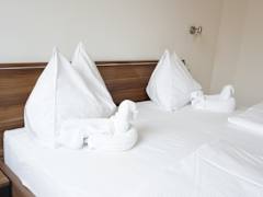 Zimmerbild 4