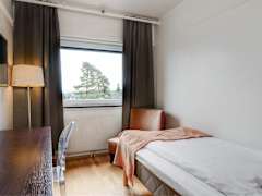 Zimmerbild 6