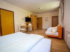 Zimmerbild 6