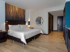 Zimmerbild 6
