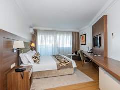 Zimmerbild 6