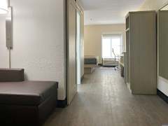 Zimmerbild 3