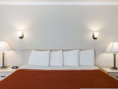 Zimmerbild 8