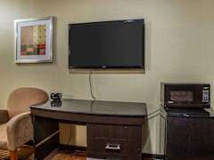 Zimmerbild 2