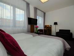 Zimmerbild 5
