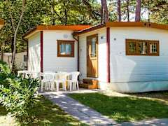 Zimmerbild 7