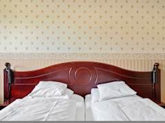 Zimmerbild 11