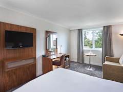 Zimmerbild 6