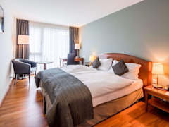 Zimmerbild 8