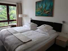 Zimmerbild 6