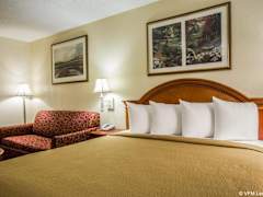 Zimmerbild 8