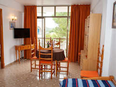 Zimmerbild 11